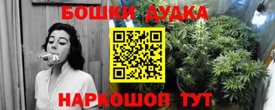 индика Кунгур