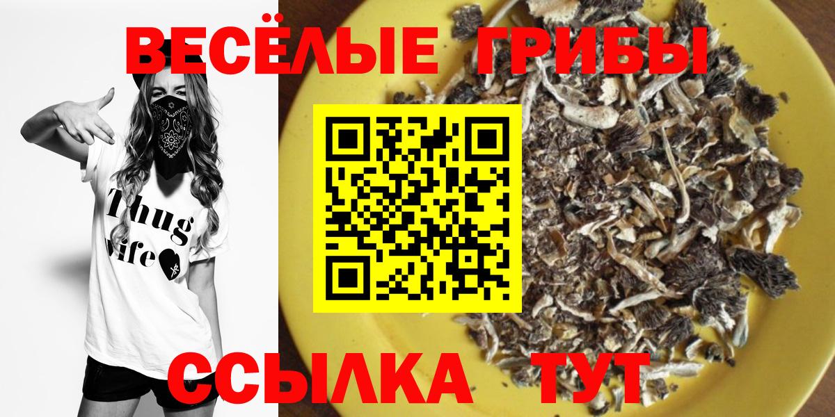 Галлюциногенные грибы GOLDEN TEACHER Туймазы